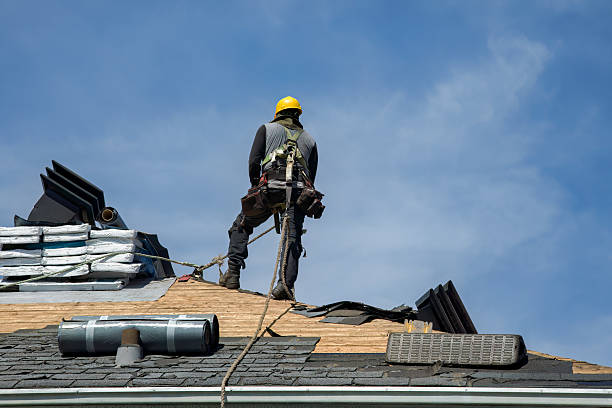 Professional Gutter Installation technician working in Rogers, MN